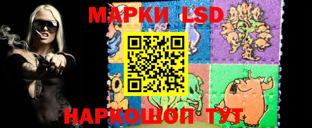 как найти закладки  Марки 25I-NBOMe 1,8мг  Вход с VPN  Элиста 