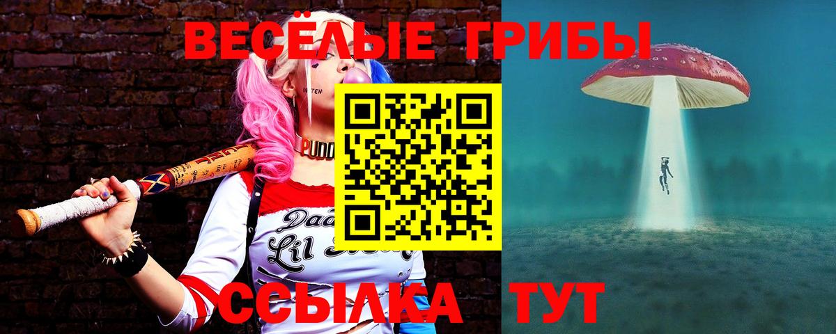 Элиста  Галлюциногенные грибы MAGIC MUSHROOMS  Вход с VPN 